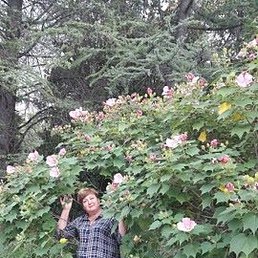 Лидия, Краснодар, 66 лет
